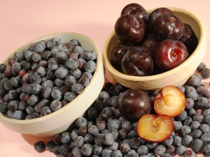 Fresh Blueberries & Plums